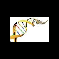 Обмен генами начался