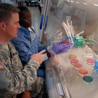 Пентагон создаст