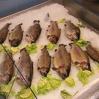 Зараженная рыба вызывает рак печени