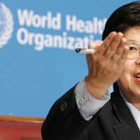 Продлен мандат Главы ВОЗ до 2017 года
