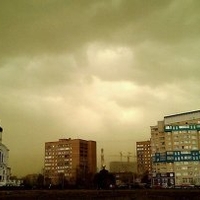 Пыльца заполнила столичный воздух