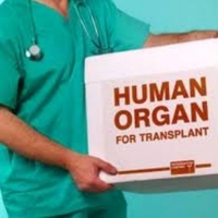 Донор по умолчанию